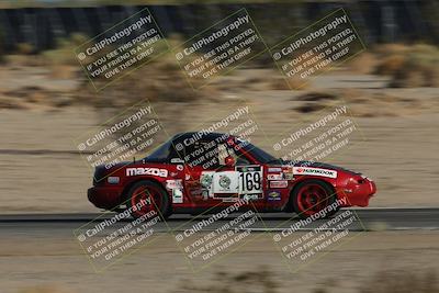 media/Oct-11-2025-Lucky Dog Racing (Sat) [[f5b53147c4]]/5-Fourth Stint/3-Turn 12 Distant/